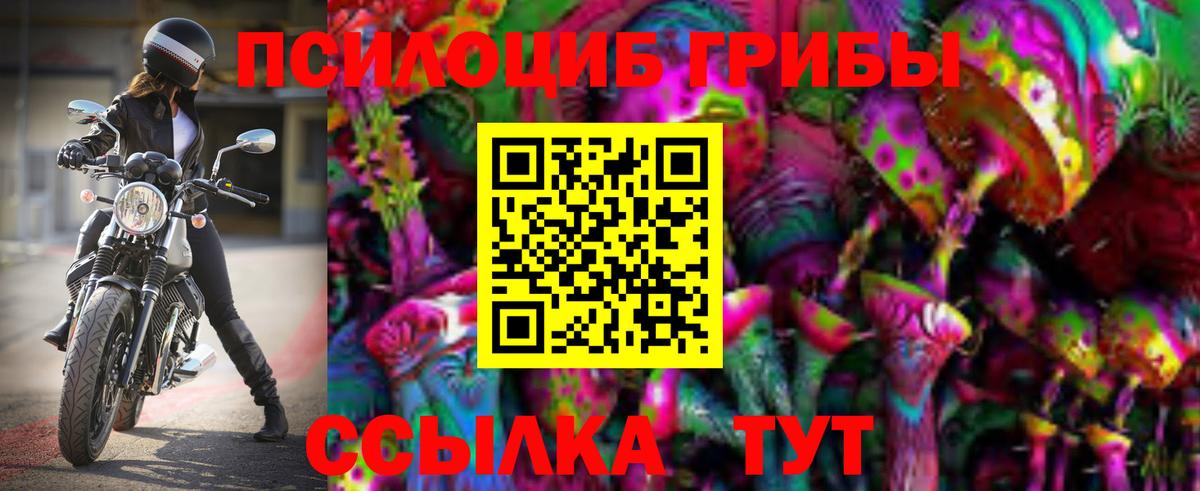 Псилоцибиновые грибы прущие грибы Рыбинск